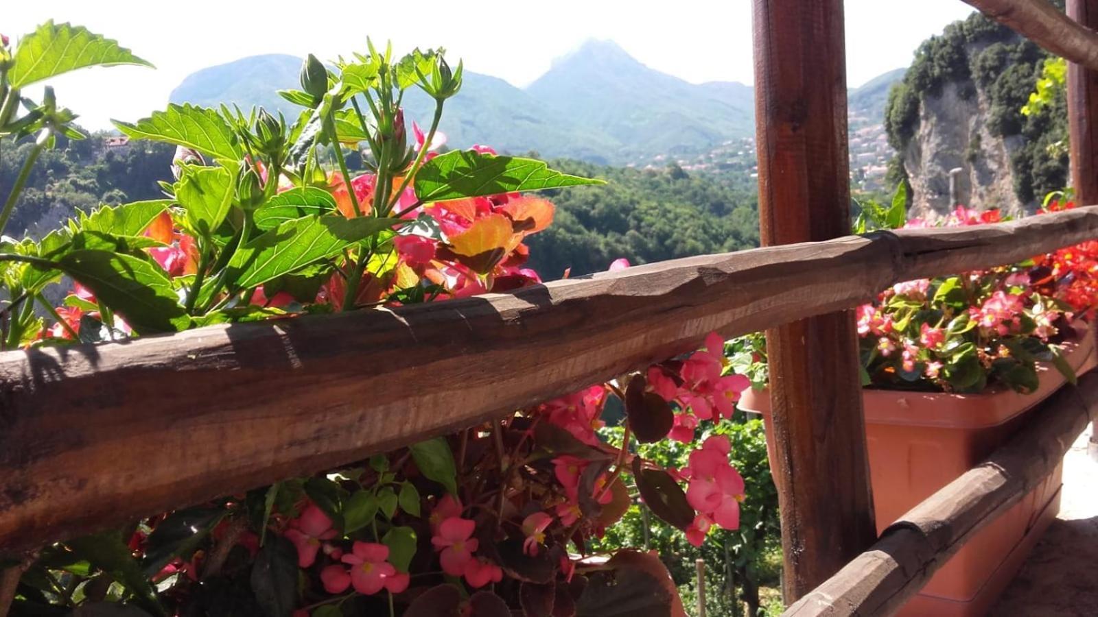 Agriturismo Orrido Di Pino Agerola Buitenkant foto