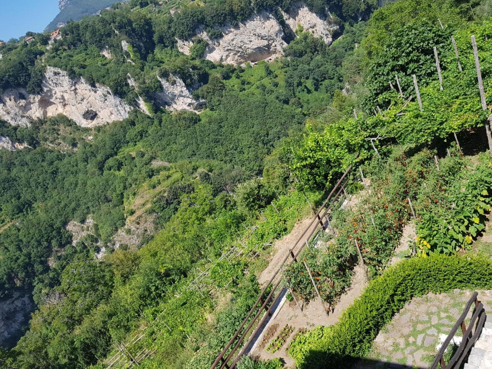 Agriturismo Orrido Di Pino Agerola Buitenkant foto