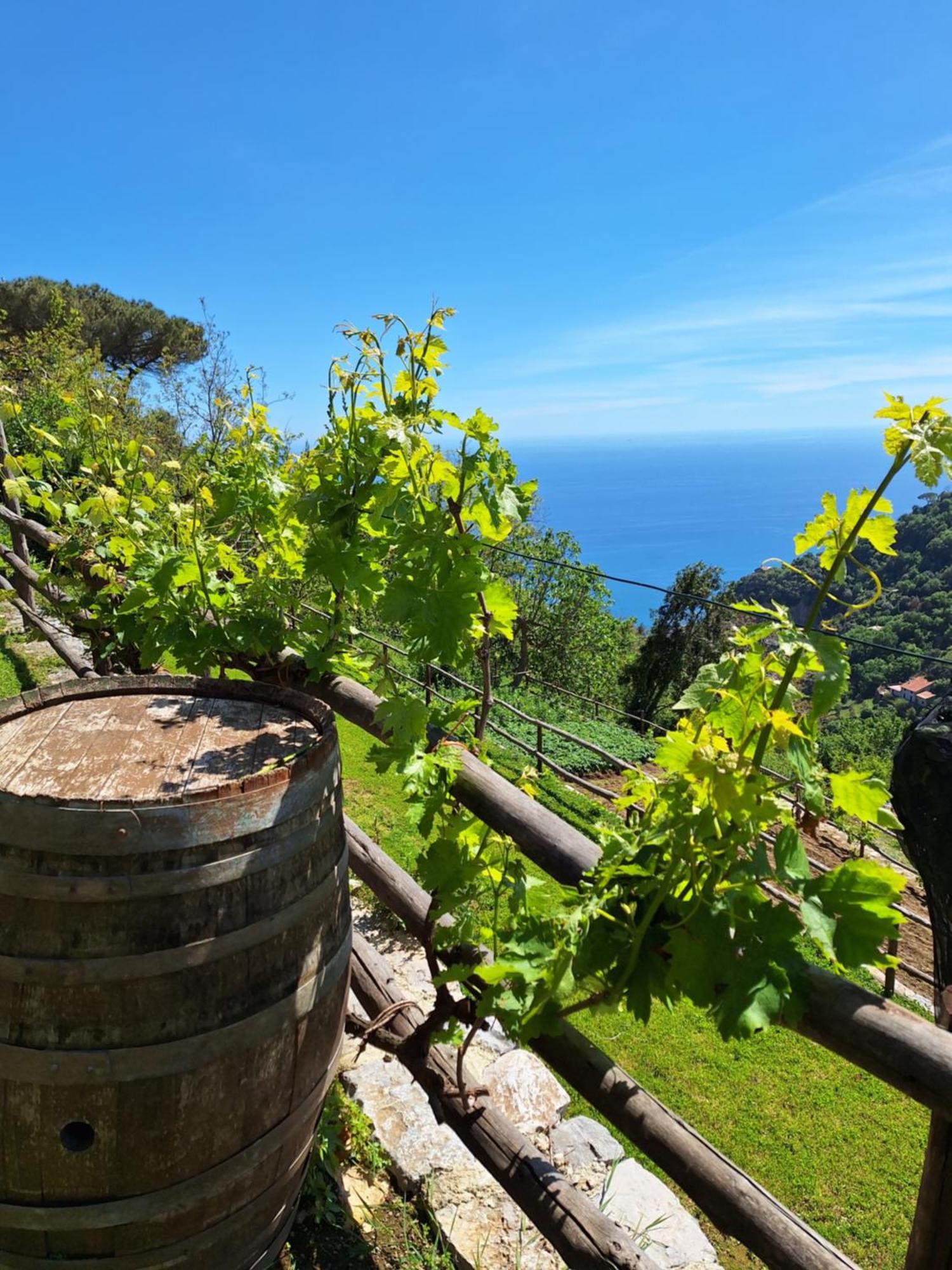 Agriturismo Orrido Di Pino Agerola Buitenkant foto