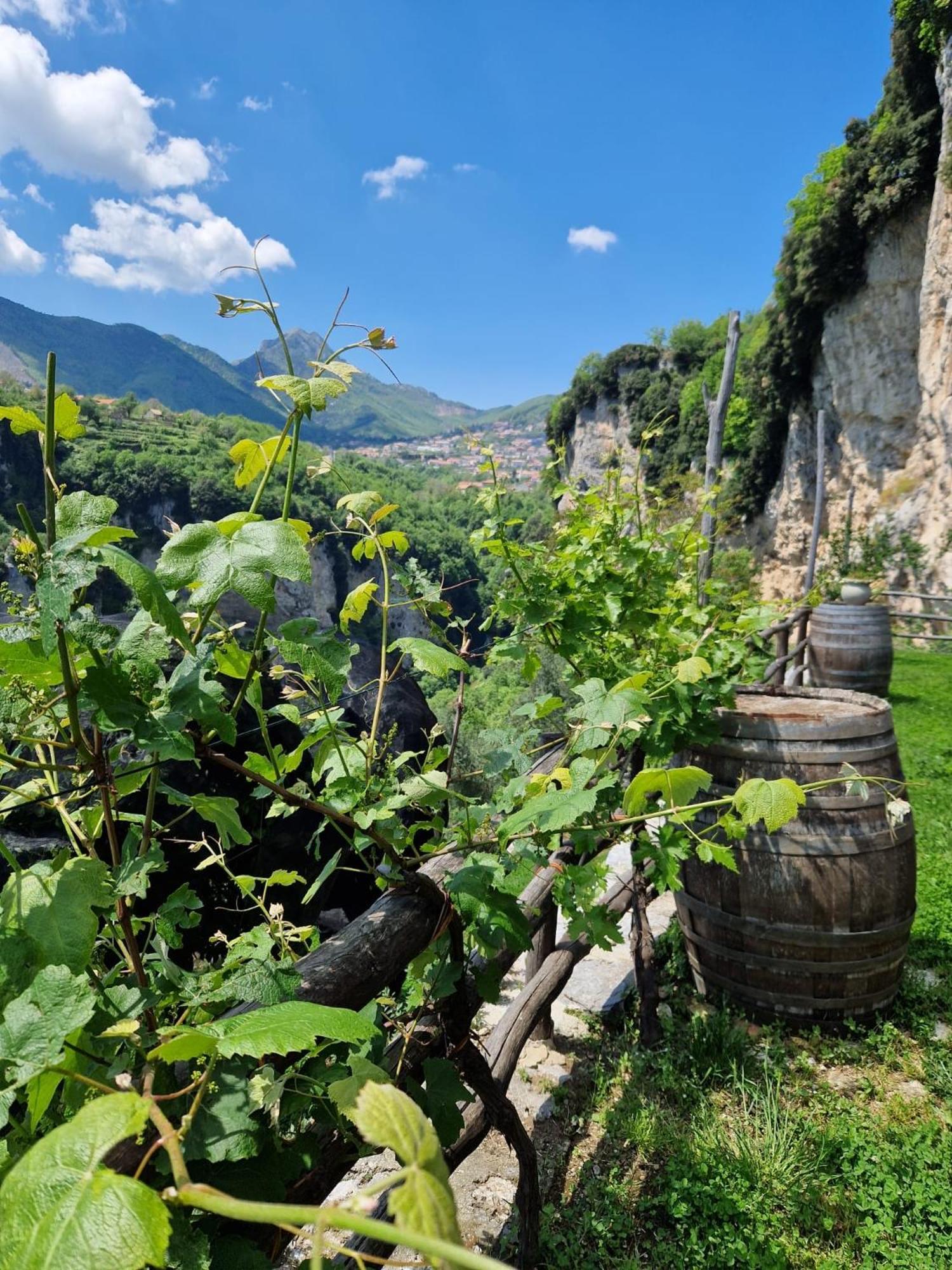 Agriturismo Orrido Di Pino Agerola Buitenkant foto