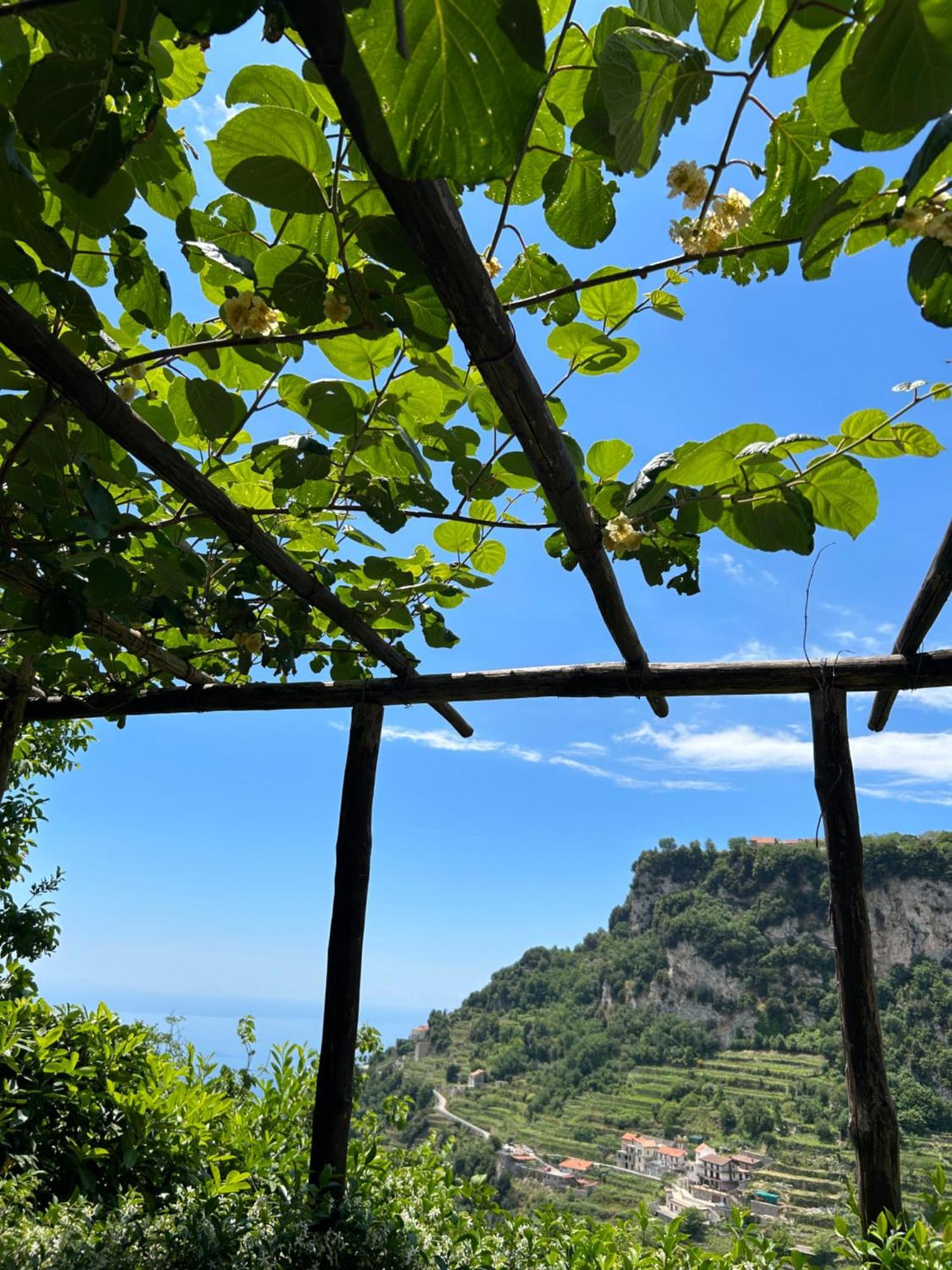 Agriturismo Orrido Di Pino Agerola Buitenkant foto