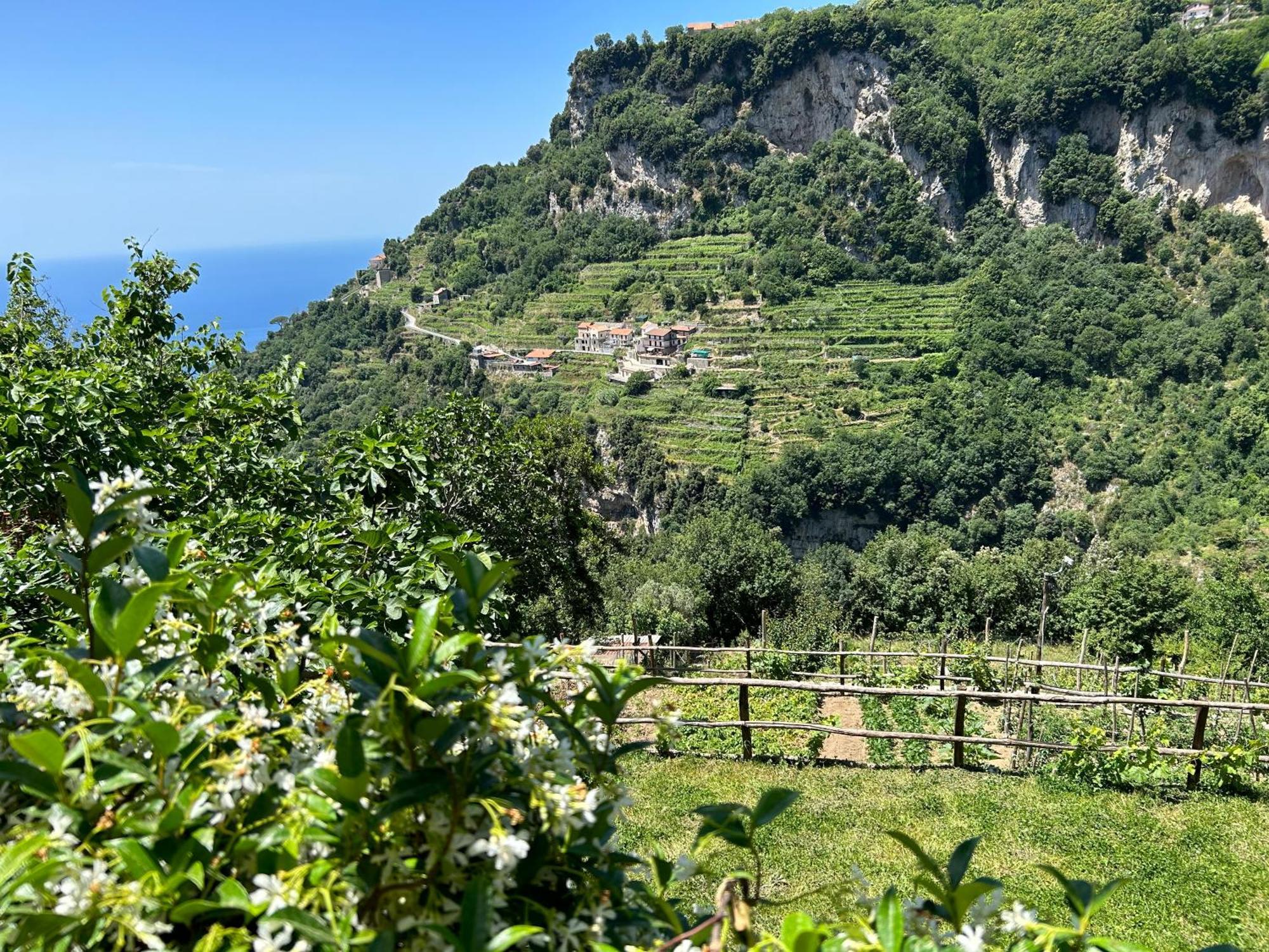 Agriturismo Orrido Di Pino Agerola Buitenkant foto