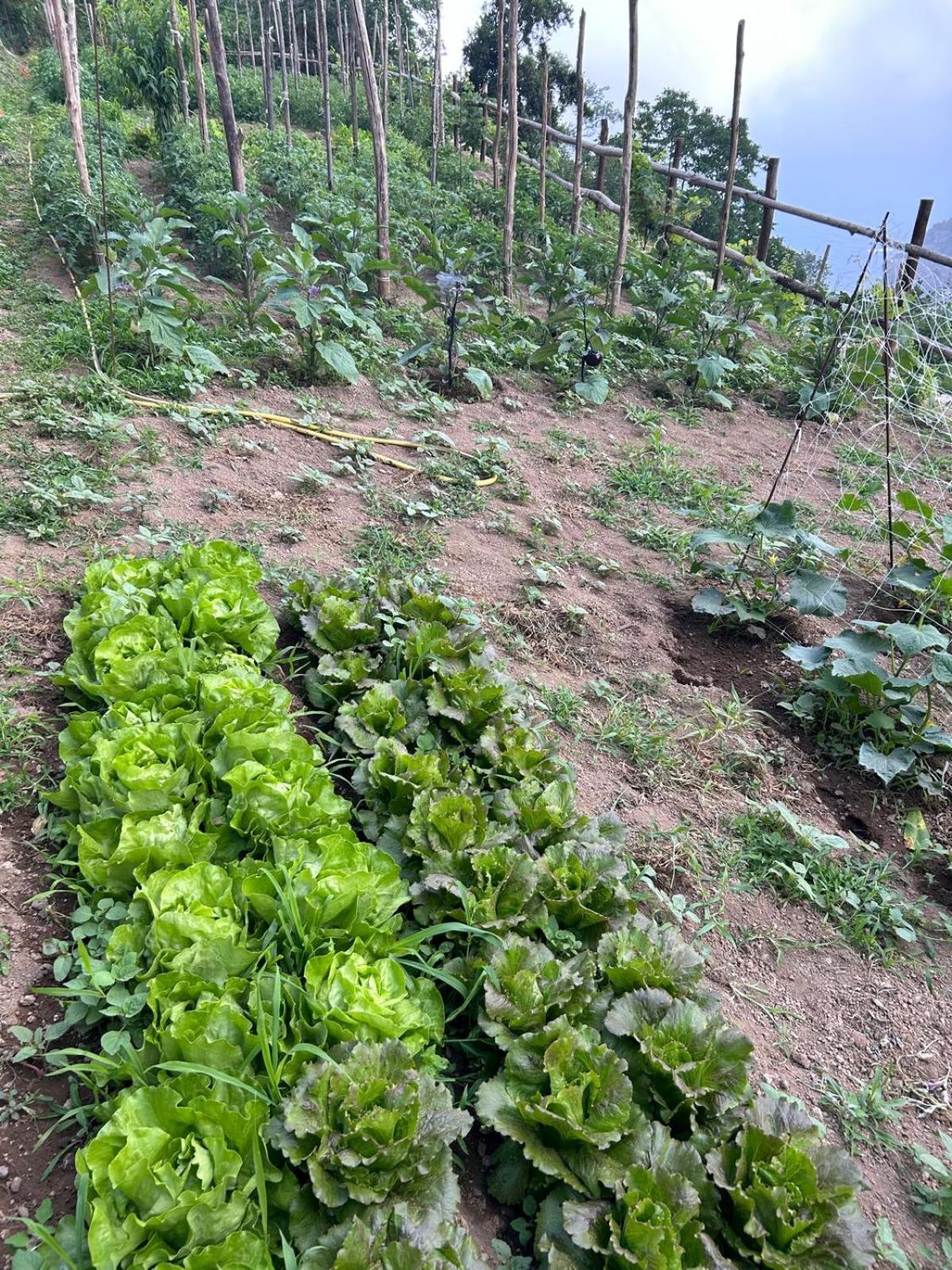 Agriturismo Orrido Di Pino Agerola Buitenkant foto